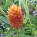 Picasa 2.7